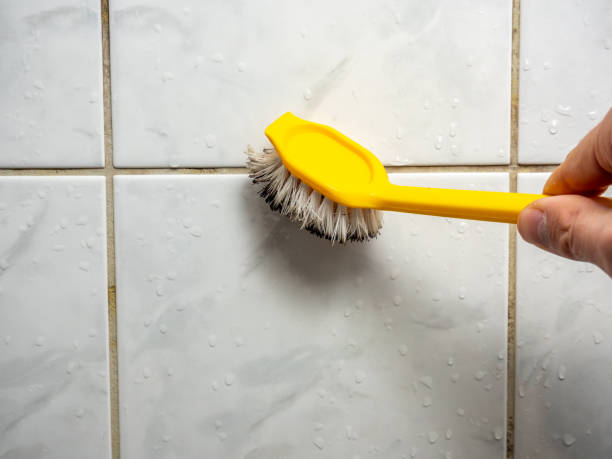 Best Mold Inspection  in Elkhart, TX