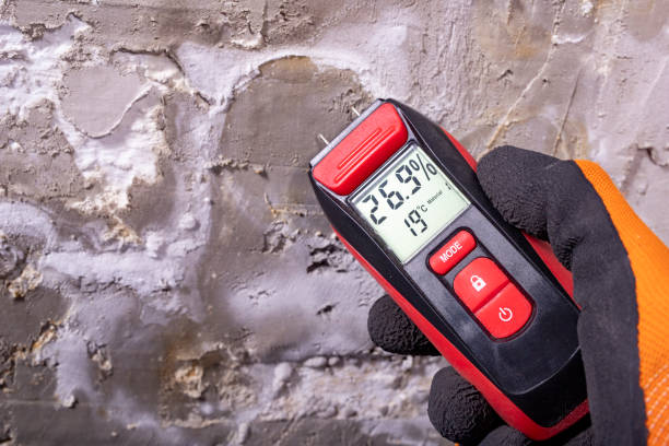 Best Local Mold Removal Service  in Elkhart, TX