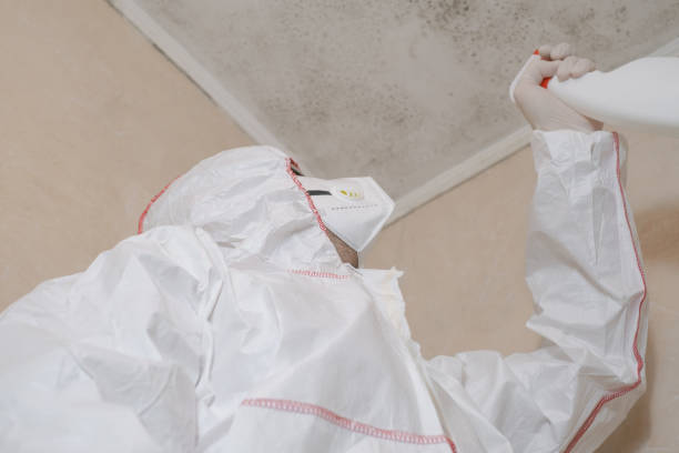Best Mold Removal Specialists  in Elkhart, TX